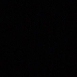 Meet your Posher, Janice